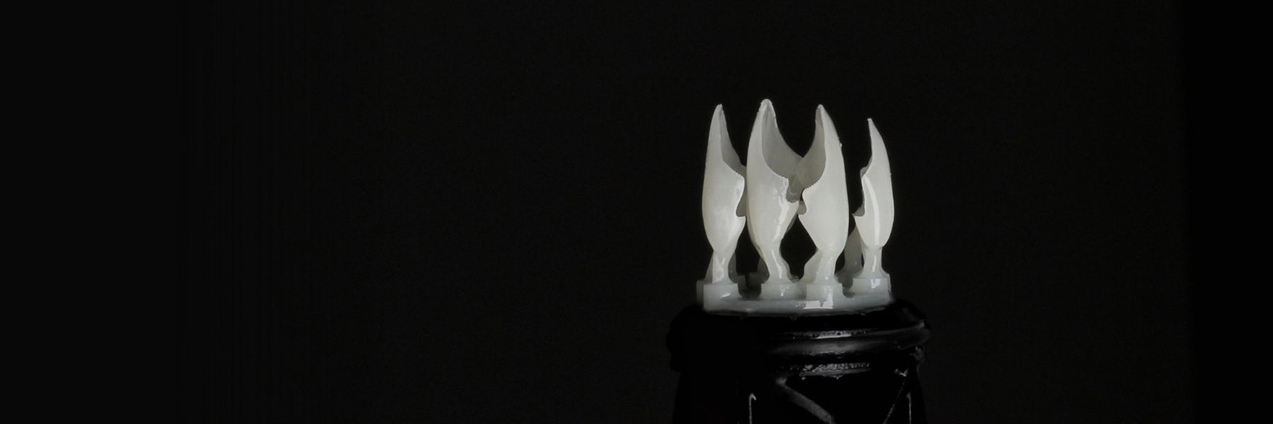 3D Printed Veneers | Dentist